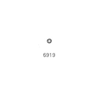 6919