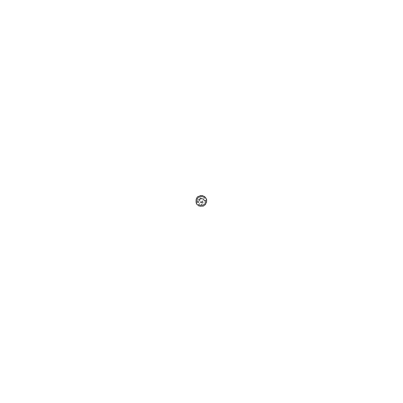 2919