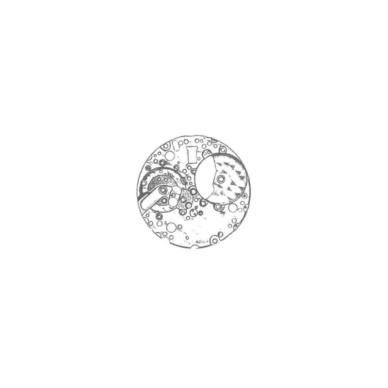 2130-0913-2