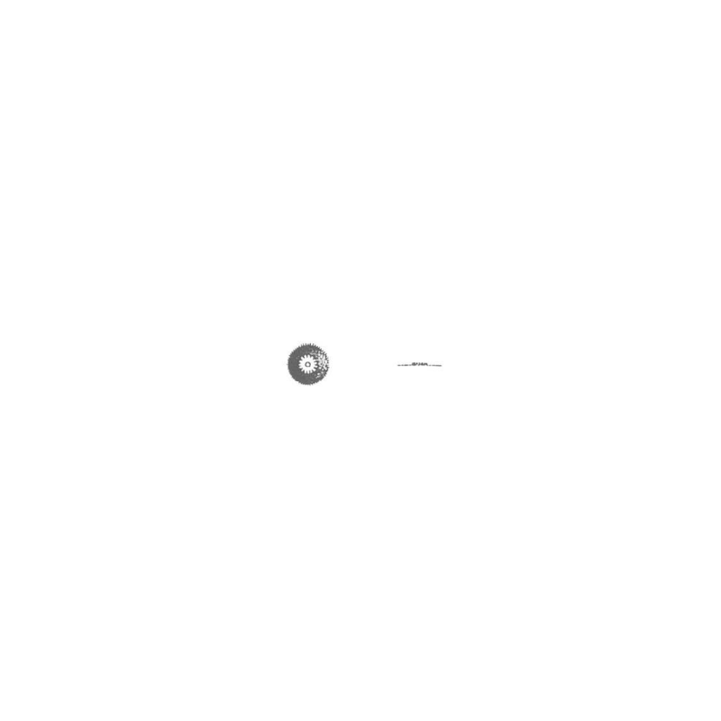 3135-250