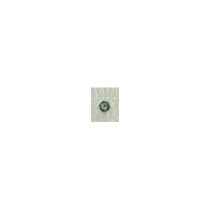 1619