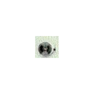 1644
