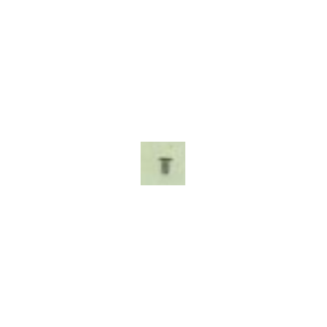 4404