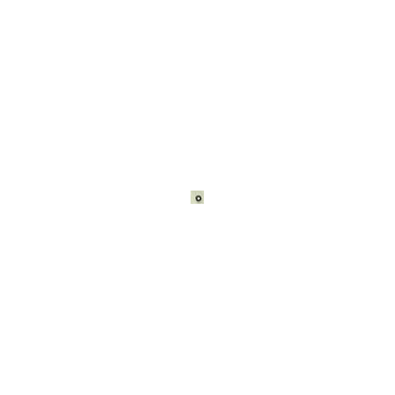 2805
