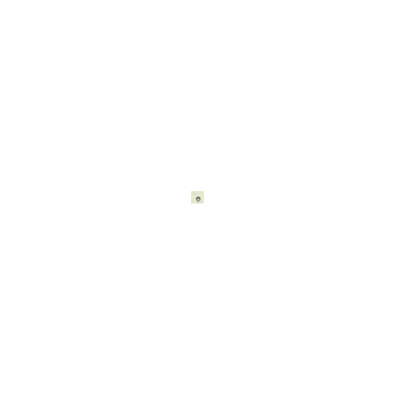 2005