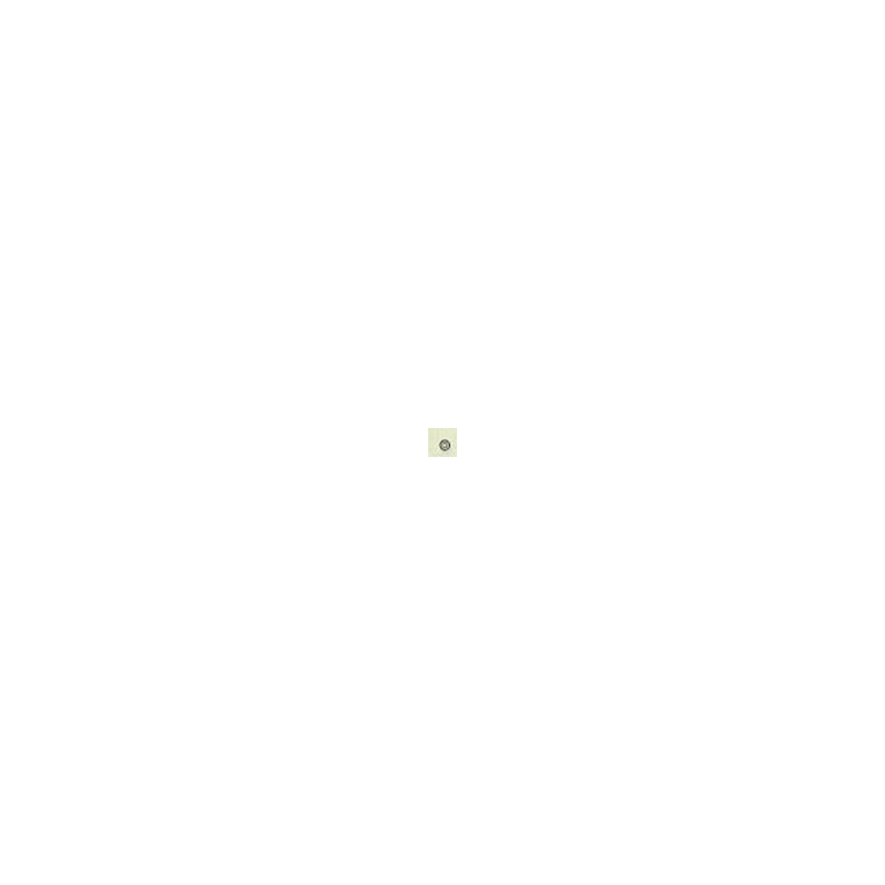 2006