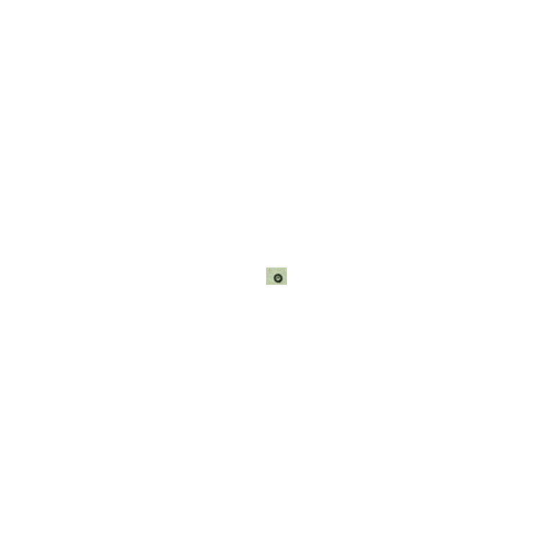 2818