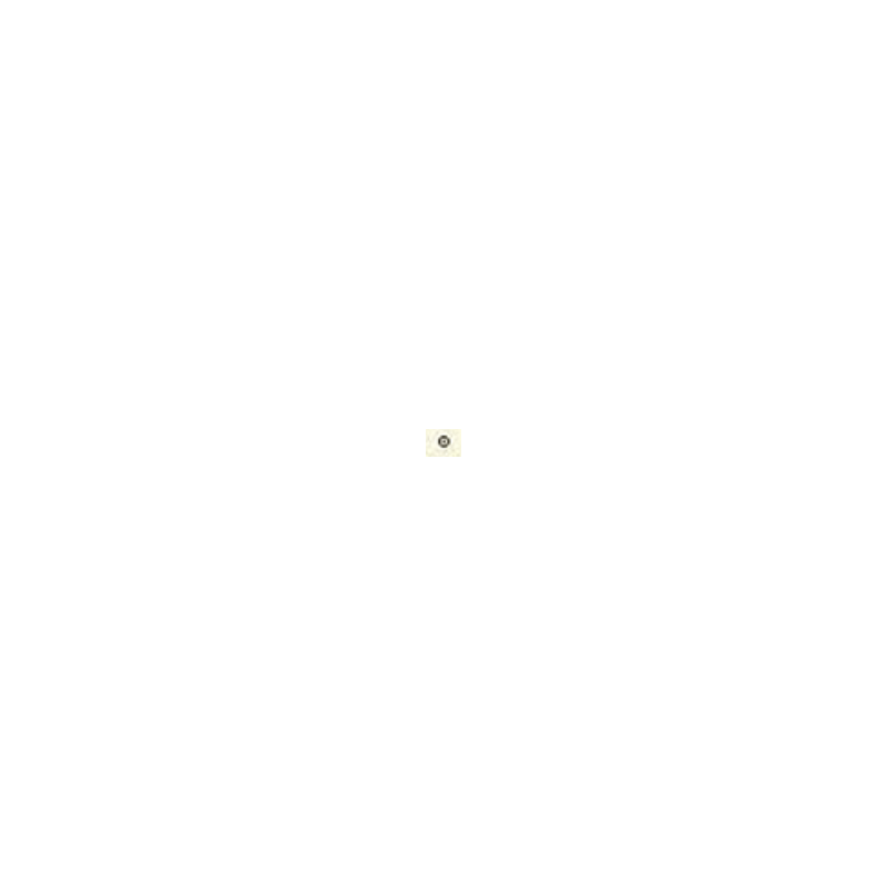 2025