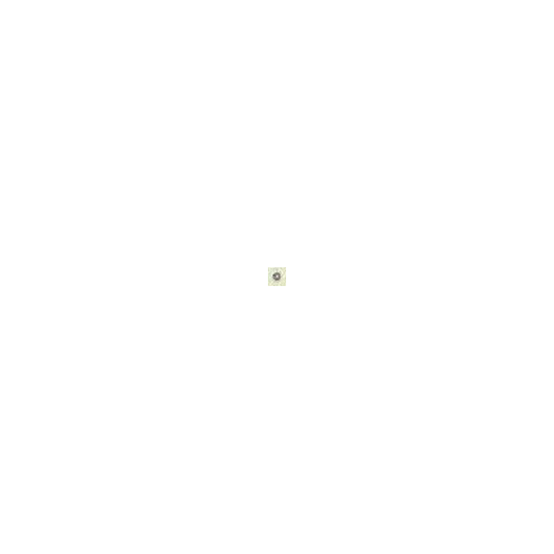 2604