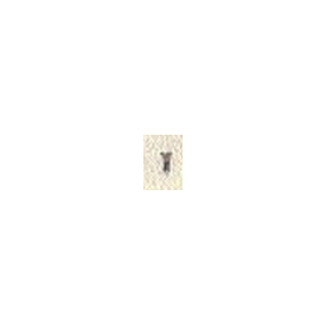 2603