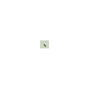 2419