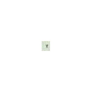 2455