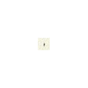 3034