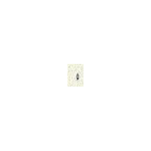3035