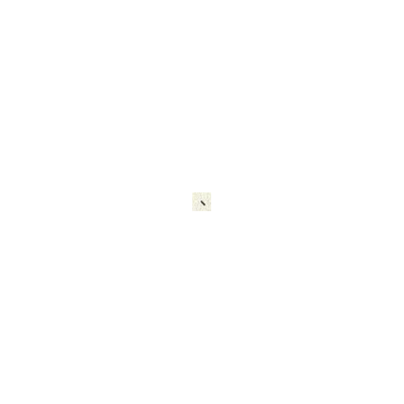 3037