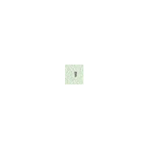 3050