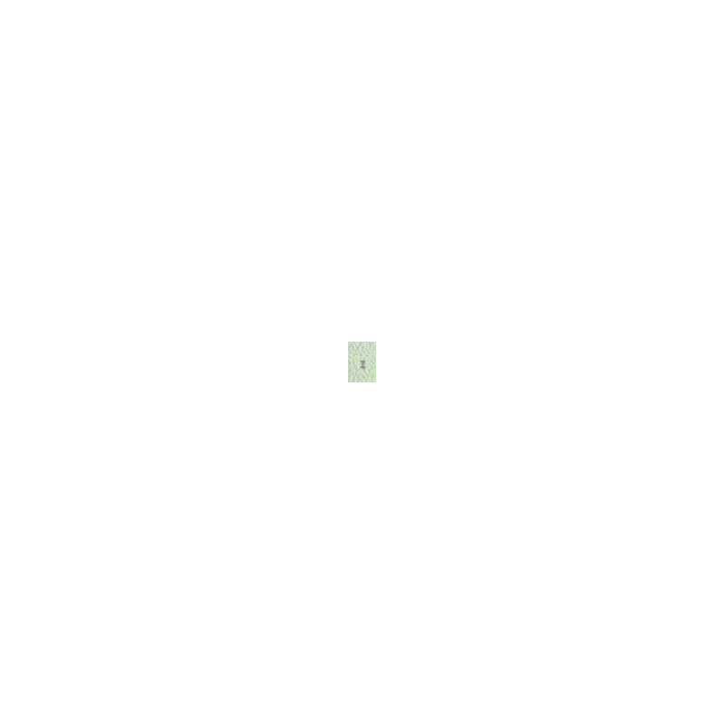 3060