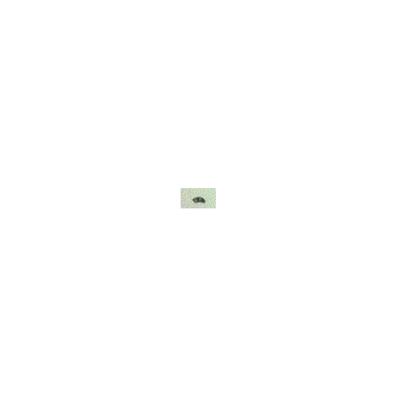 3061