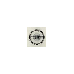 3243