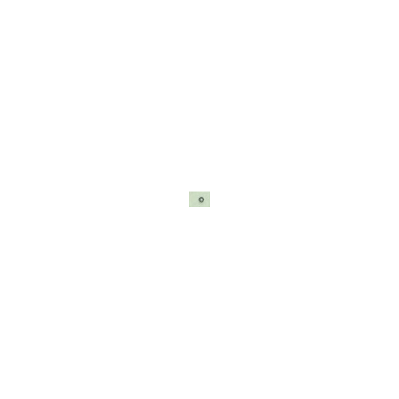 3807