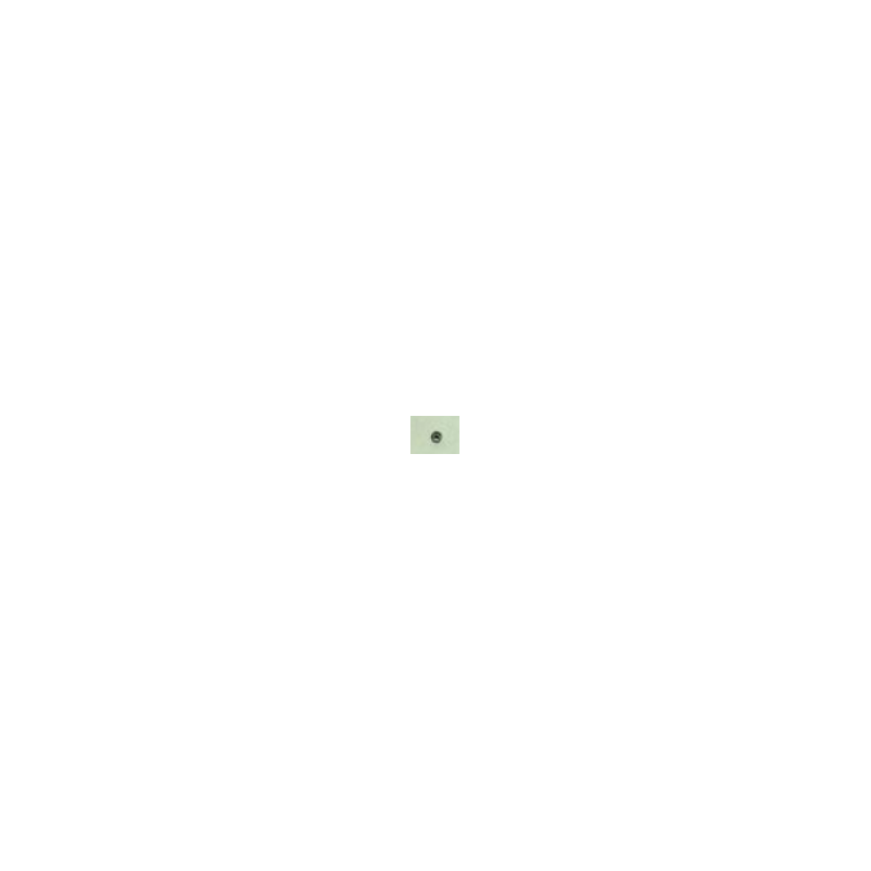 3816