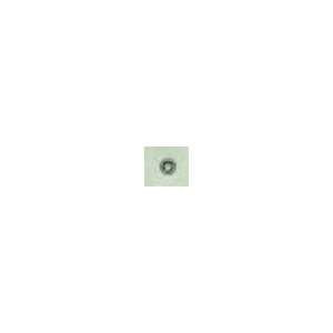4007