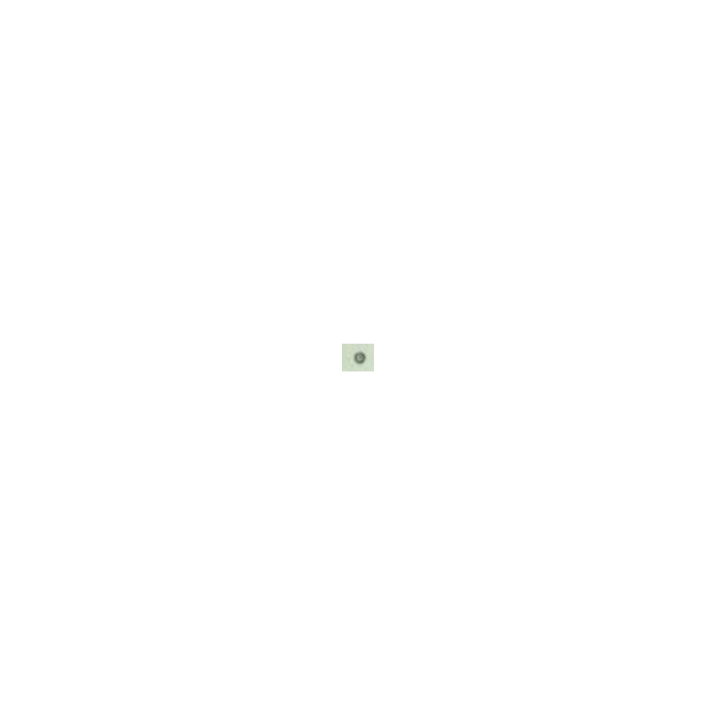 4010