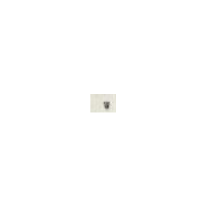 4040