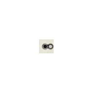 4041