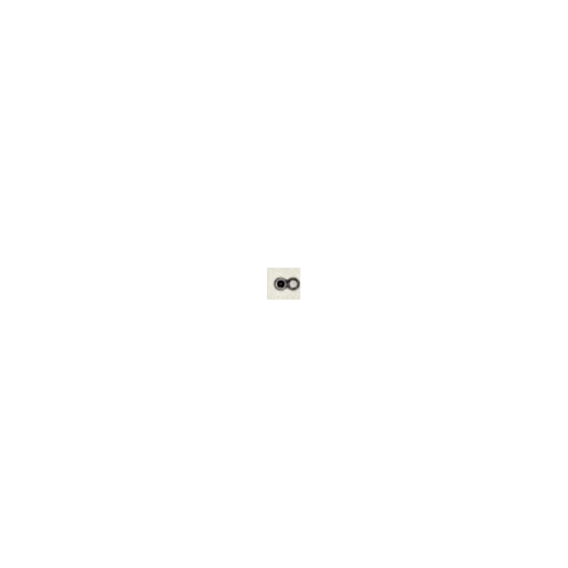 4041