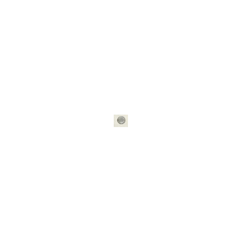 4043