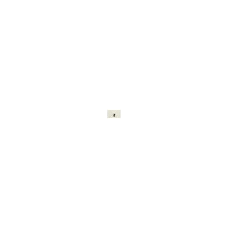 4044