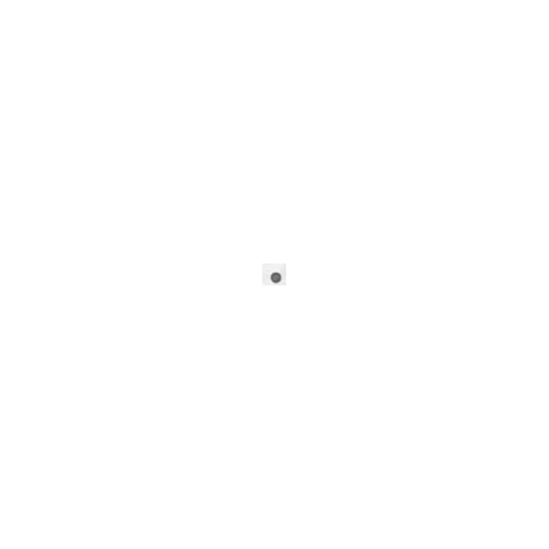 1040 - 1324