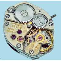 Rolex 1310